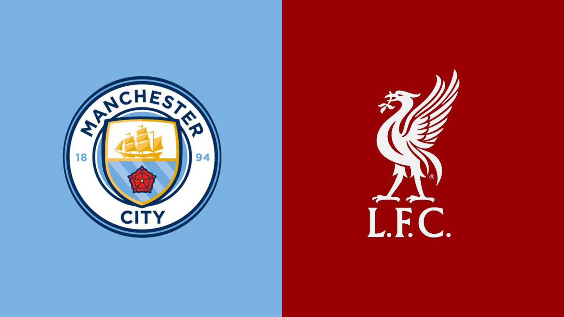 仅展示了皇 仅展示了皇