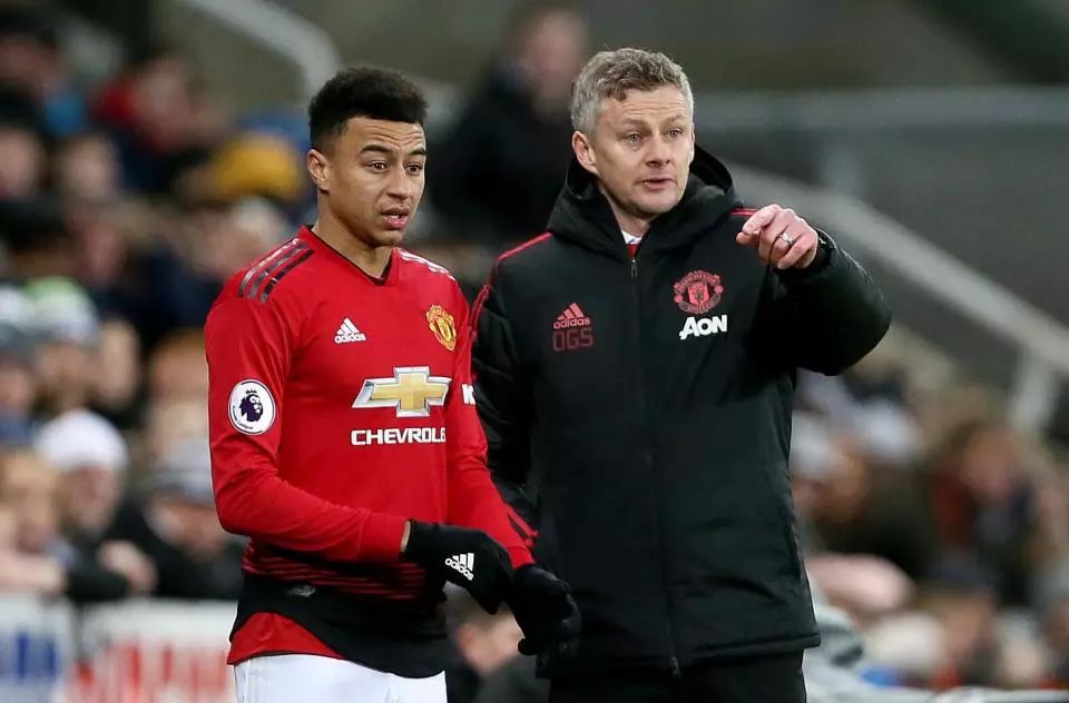 派林格都需 派林格都需